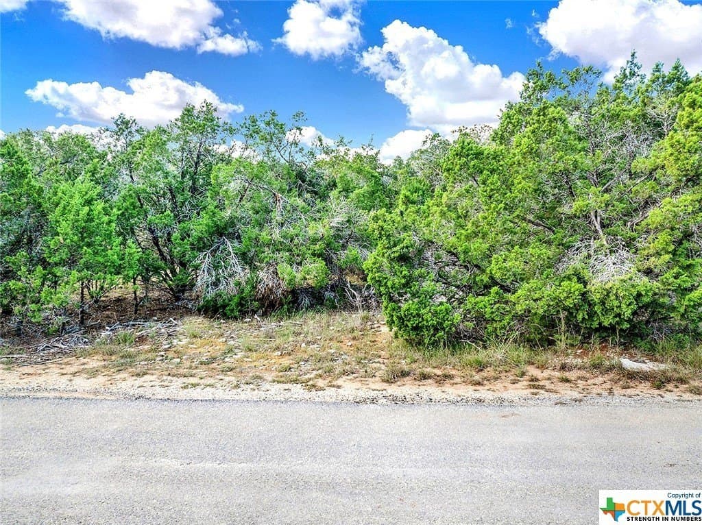 0.23 acres in Hays County gallery image 3