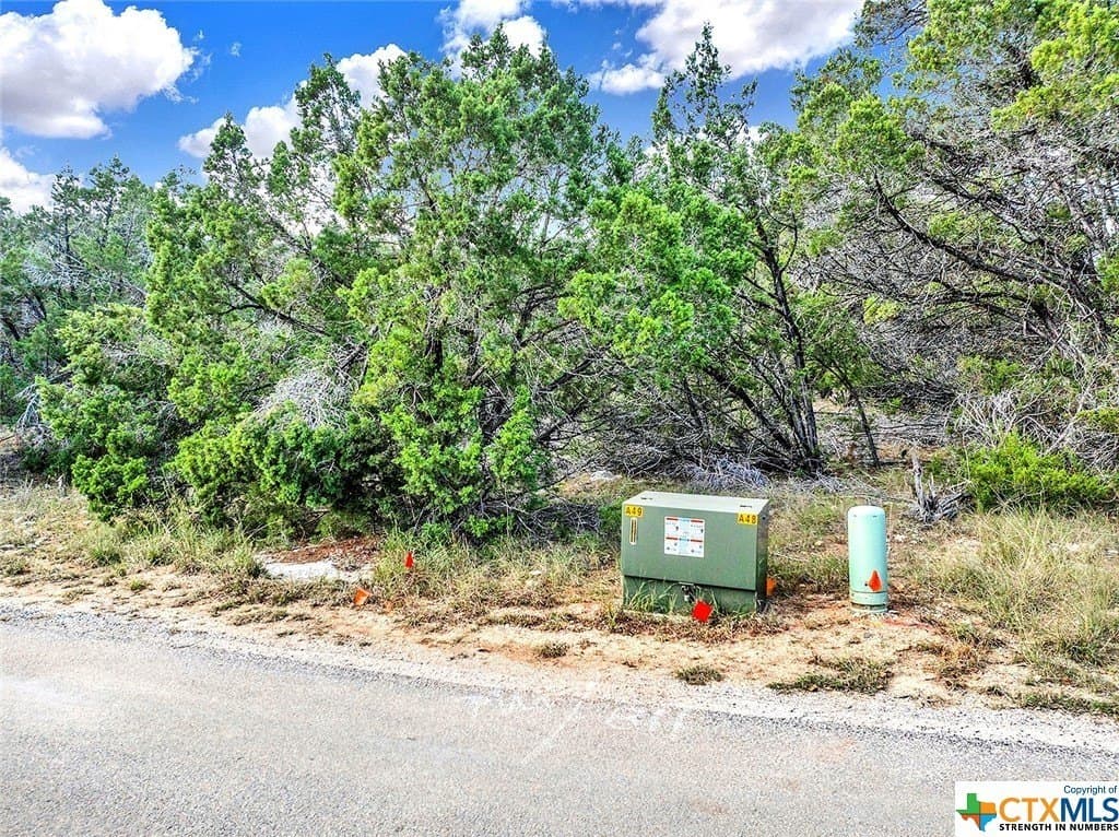 0.23 acres in Hays County gallery image 2