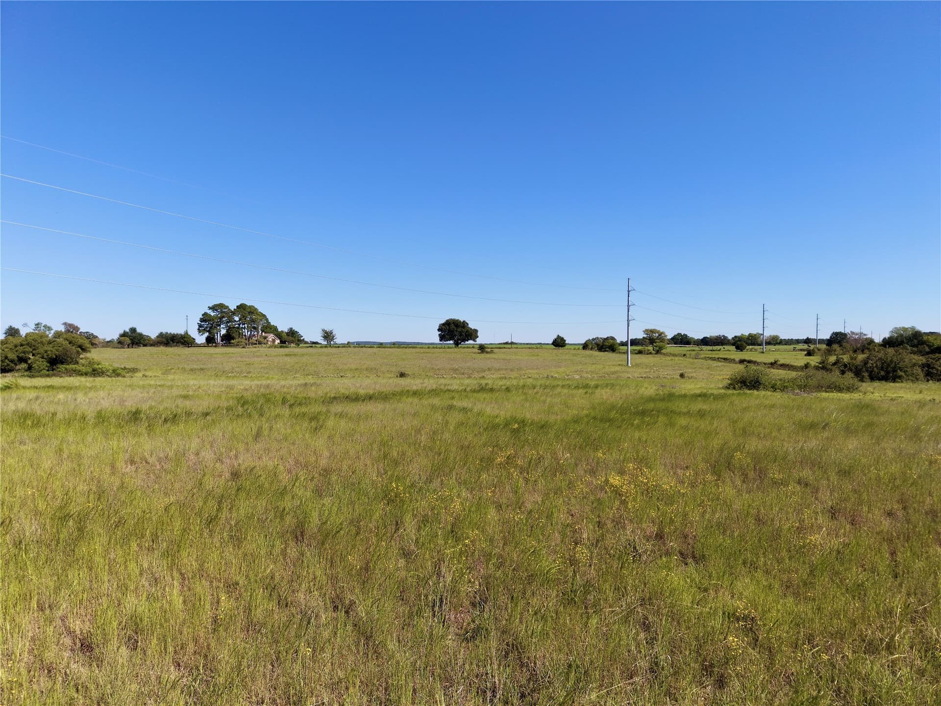 14.68 acres in Henderson County - photo 6