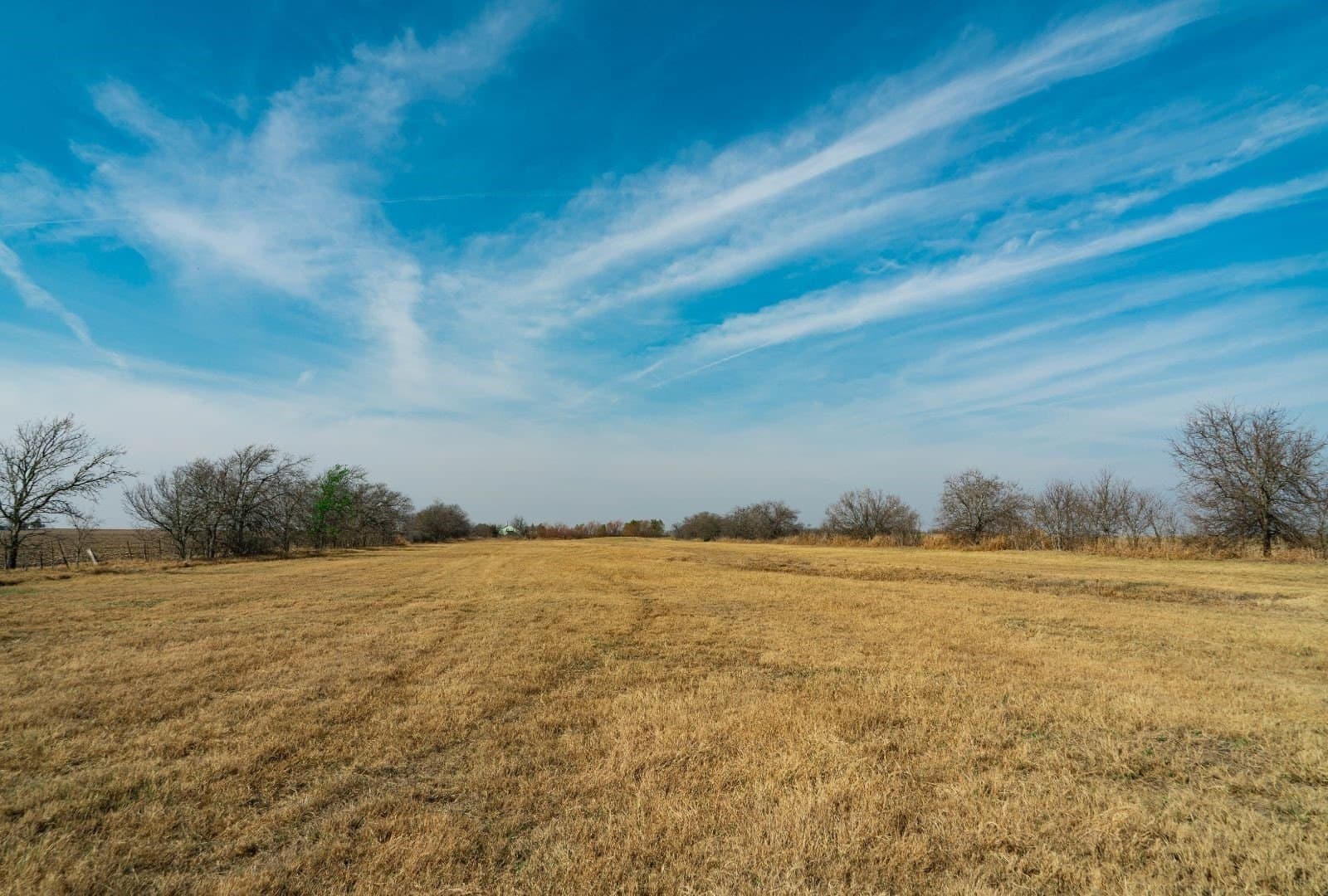 116.68 acres in Travis County - photo 7