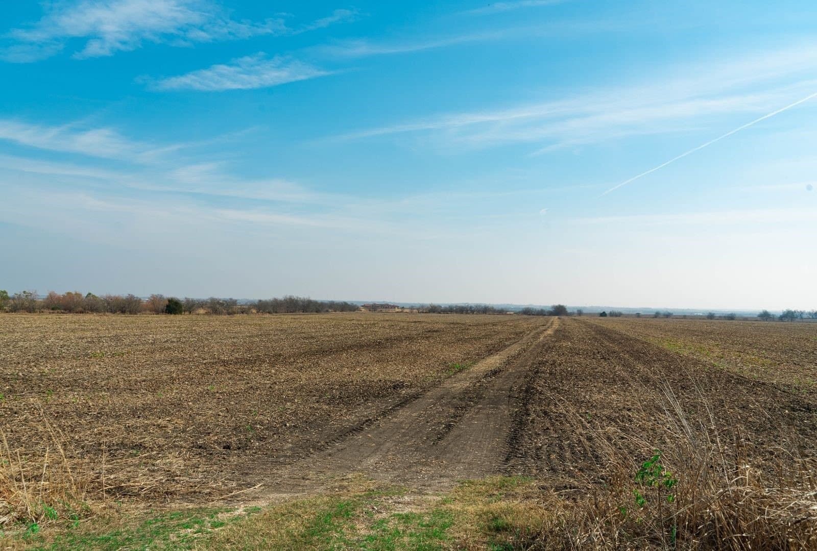 116.68 acres in Travis County - photo 11