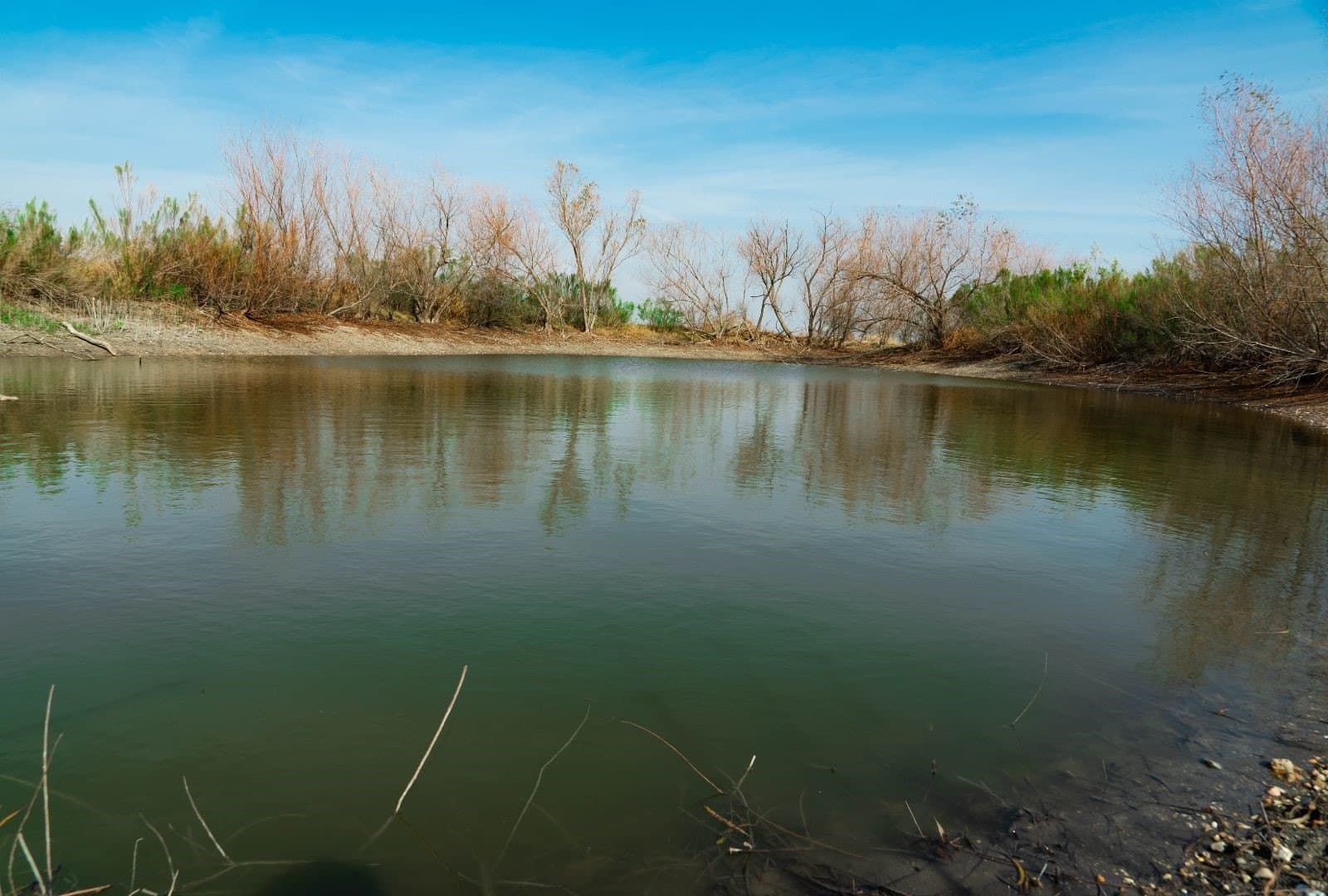 116.68 acres in Travis County - photo 26