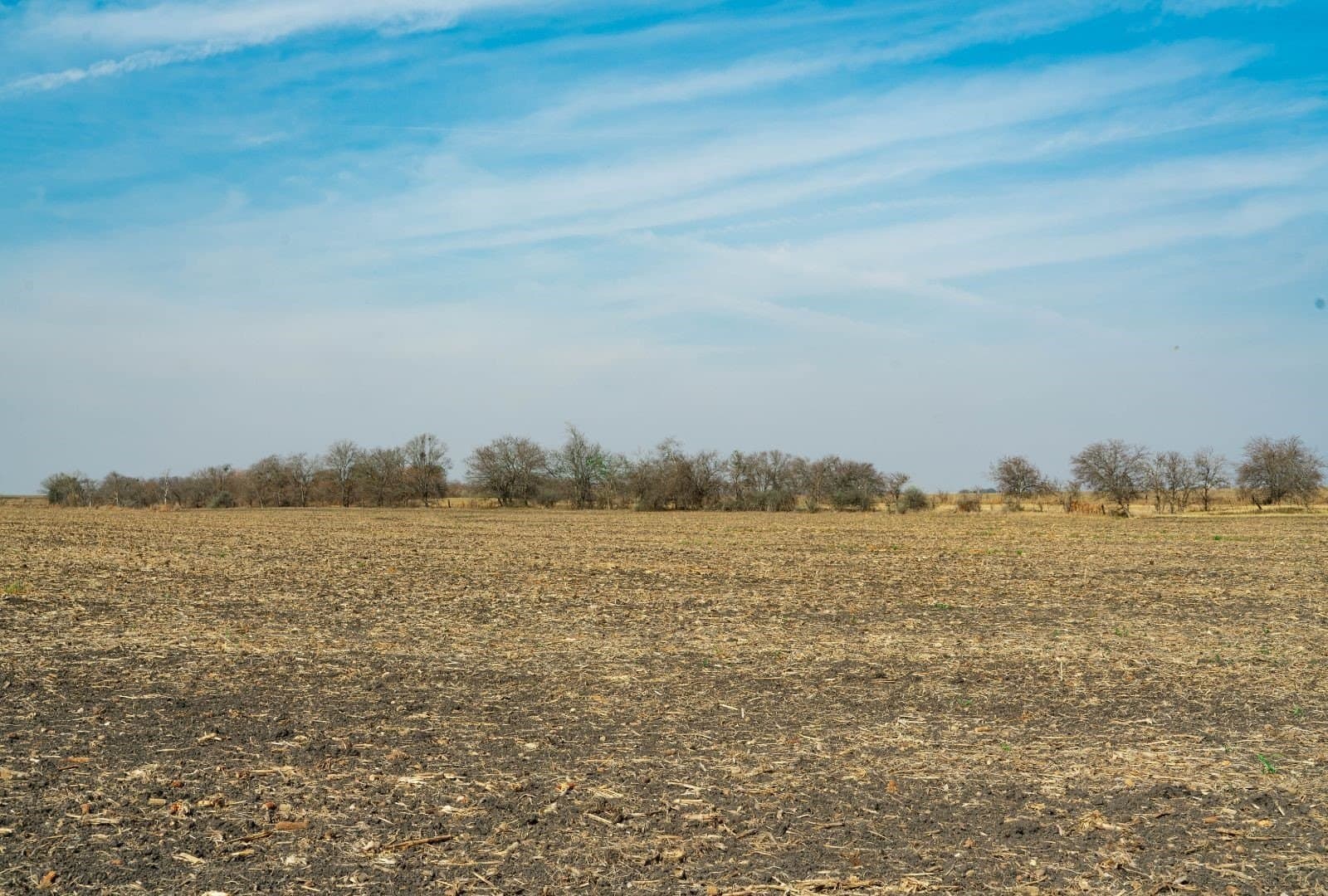 116.68 acres in Travis County - photo 9
