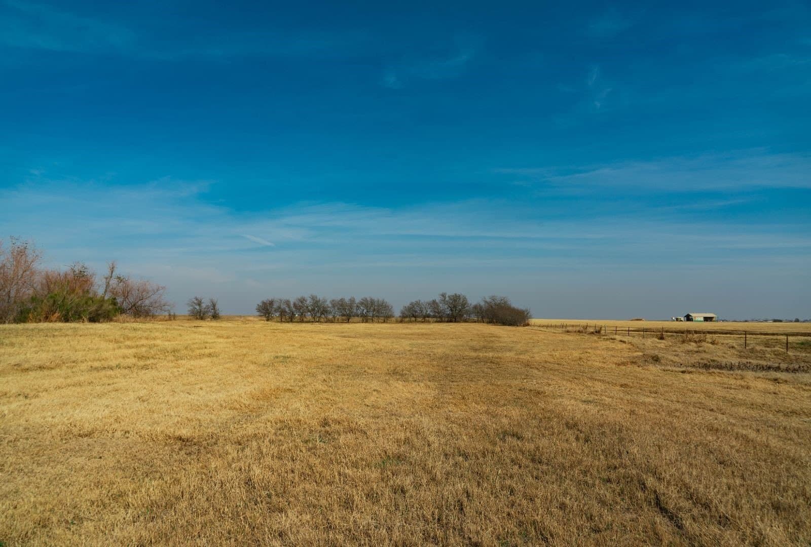 116.68 acres in Travis County - photo 24