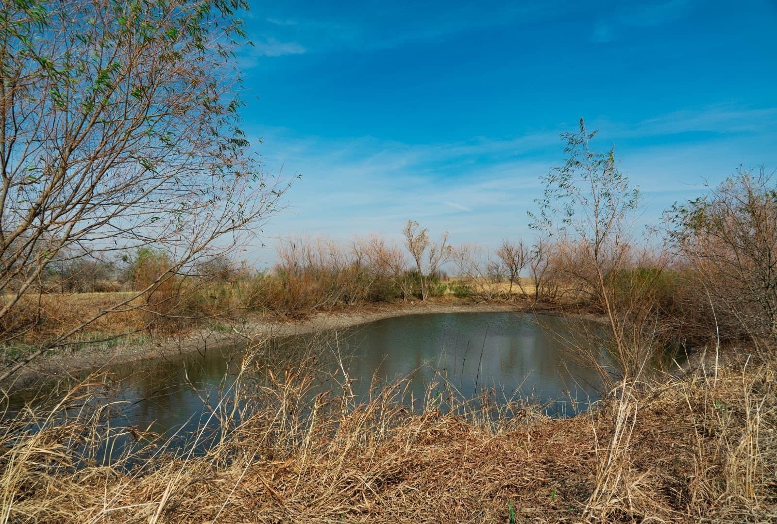 116.68 acres in Travis County - photo 25