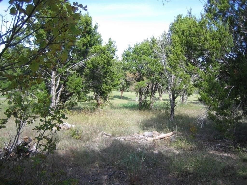 0.34 acres in Johnson County - photo 6
