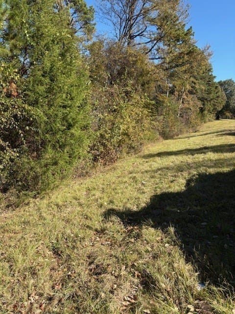 37.73 acres in Henderson County gallery image 4