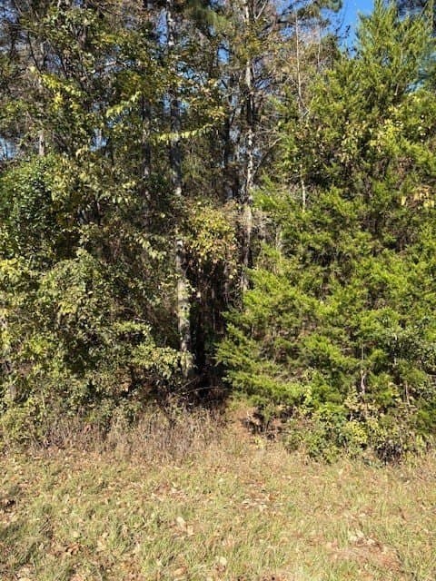 37.73 acres in Henderson County gallery image 2
