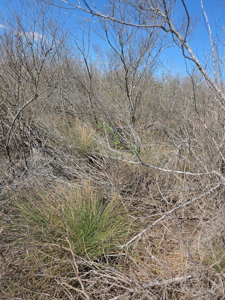 0 acres in Texas County gallery image 3