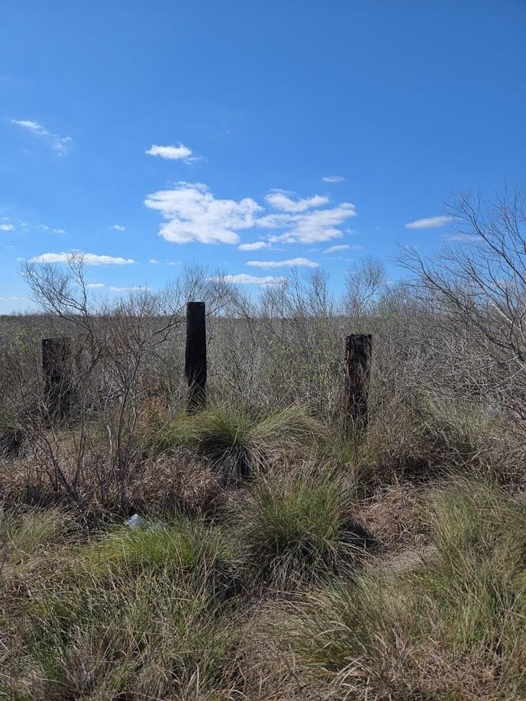 0 acres in Texas County gallery image 2