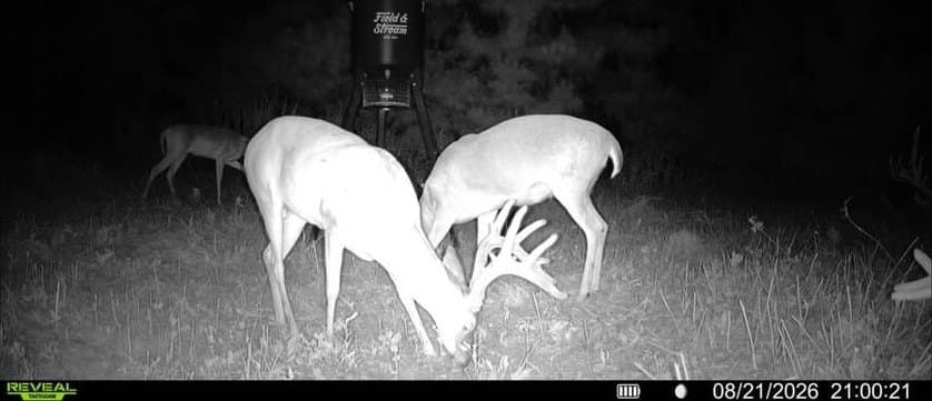 80 acres in ANDERSON County - photo 6