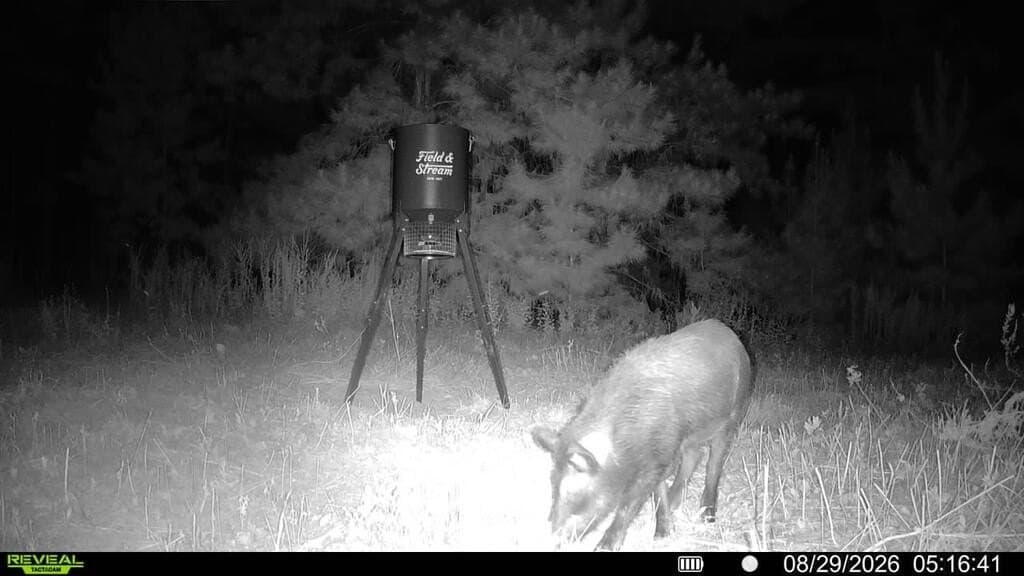 80 acres in ANDERSON County - photo 3