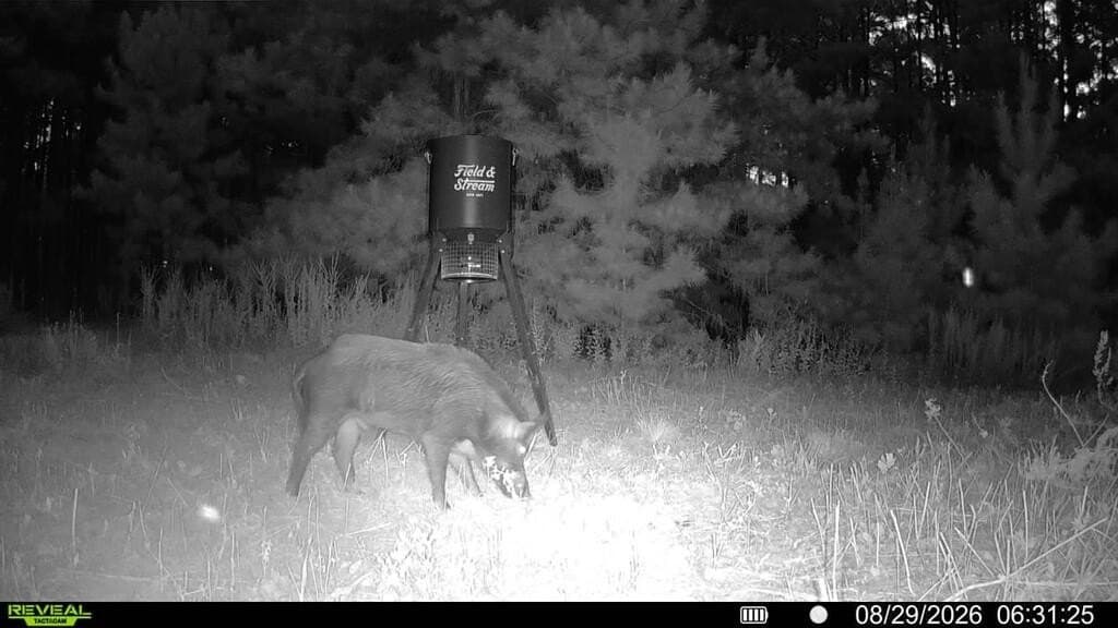 80 acres in ANDERSON County - photo 2