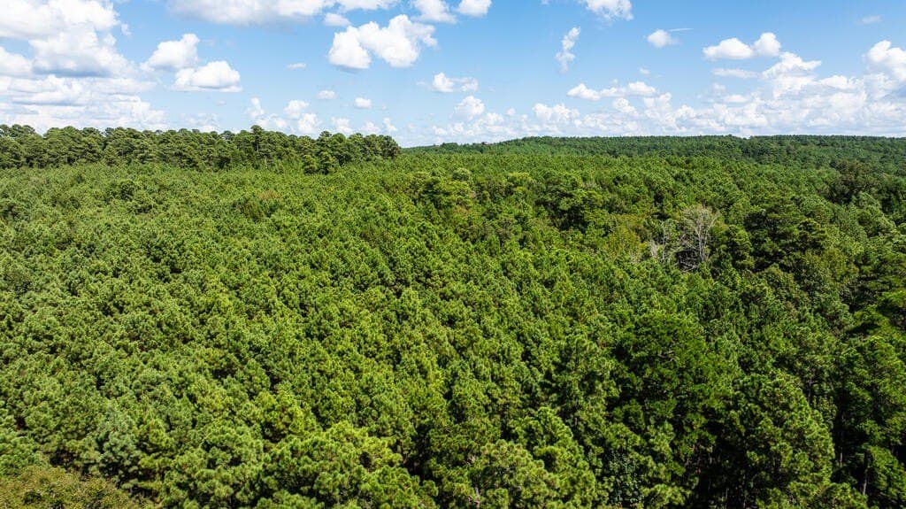 80 acres in ANDERSON County - photo 9