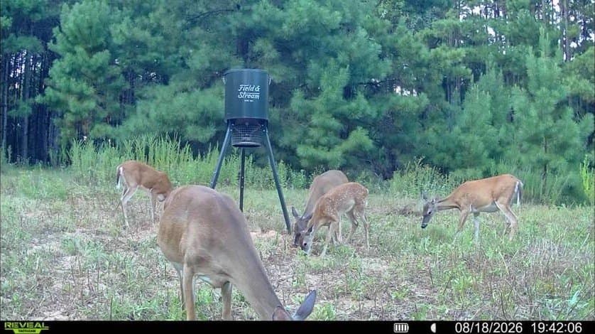 80 acres in ANDERSON County - photo 7