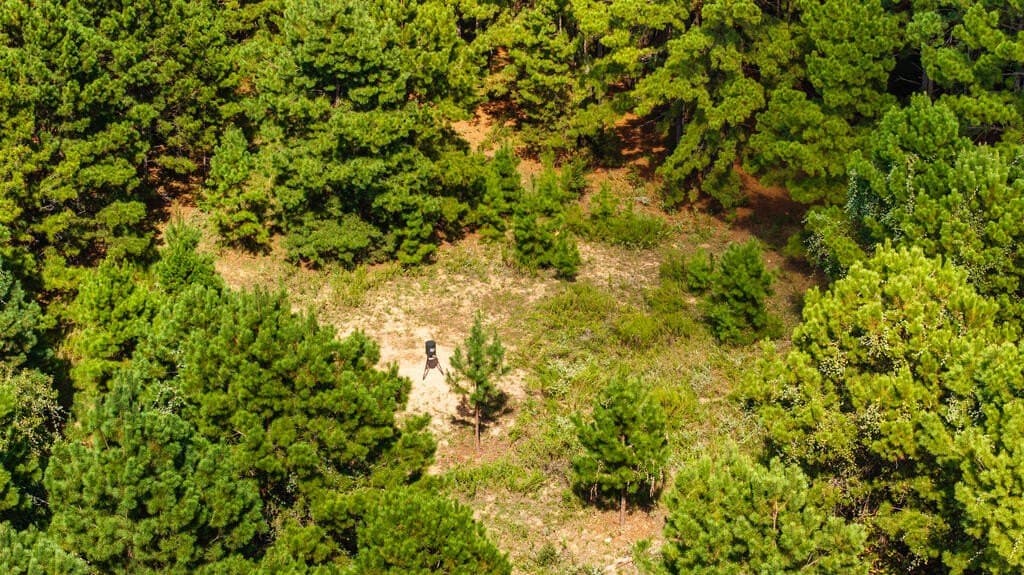 80 acres in ANDERSON County - photo 16