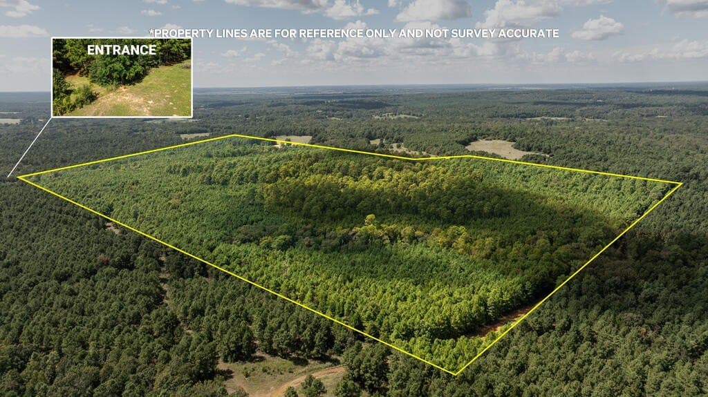 80 acres in ANDERSON County - photo 17
