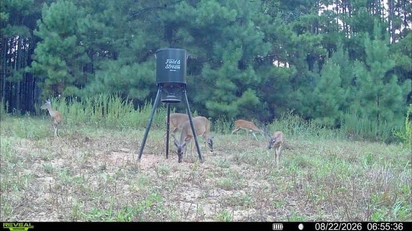80 acres in ANDERSON County - photo 8