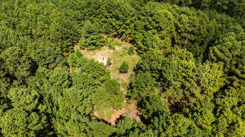 80 acres in ANDERSON County - photo 15
