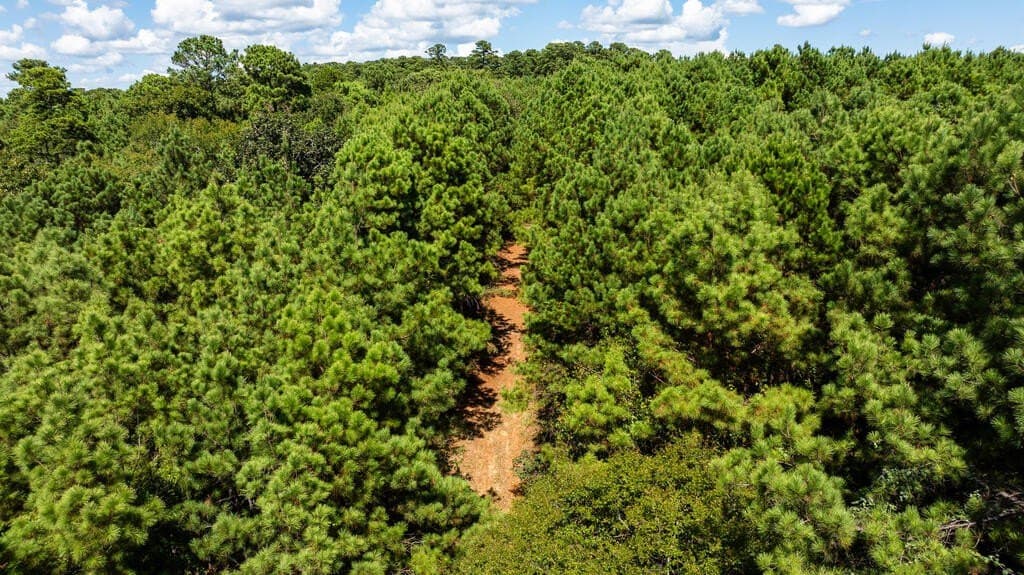 80 acres in ANDERSON County - photo 13