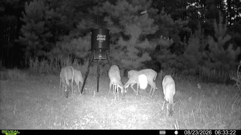80 acres in ANDERSON County - photo 4