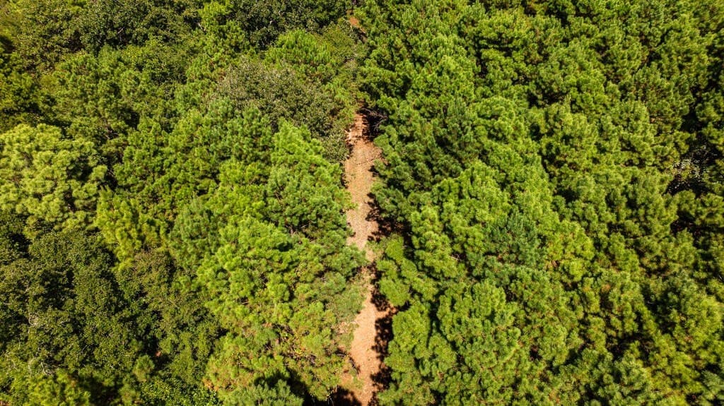 80 acres in ANDERSON County - photo 14
