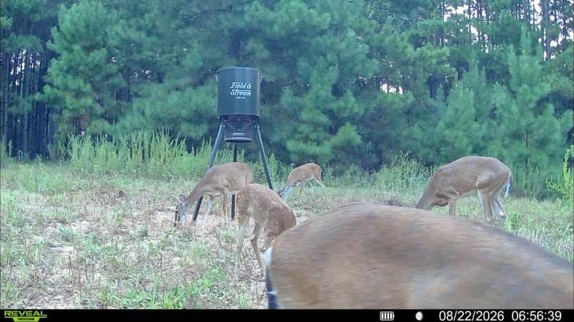 80 acres in ANDERSON County - photo 5