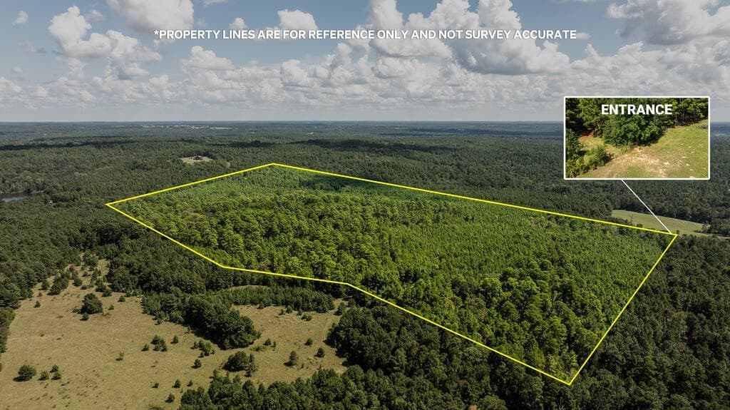 80 acres in ANDERSON County - photo 19