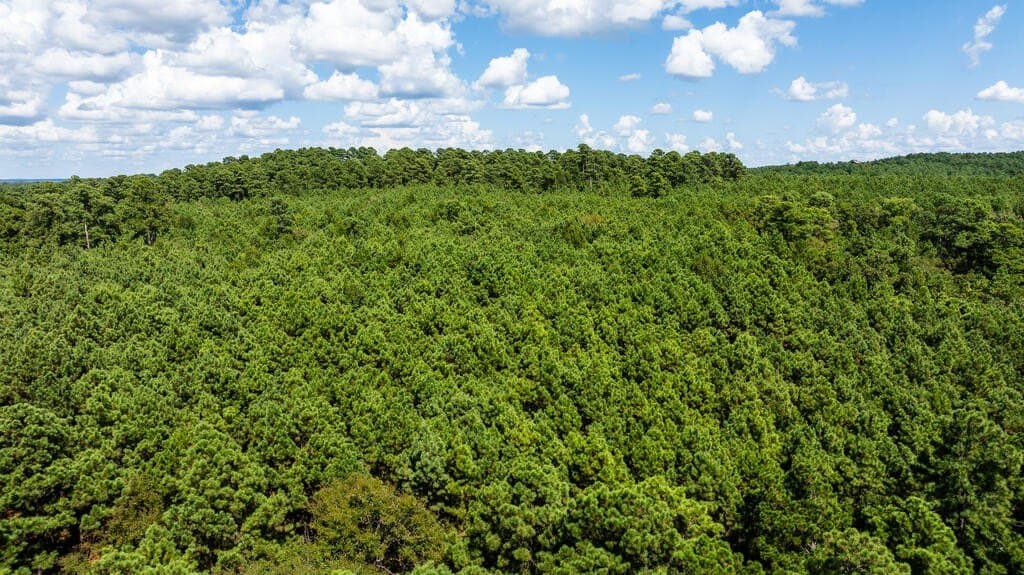 80 acres in ANDERSON County - photo 10
