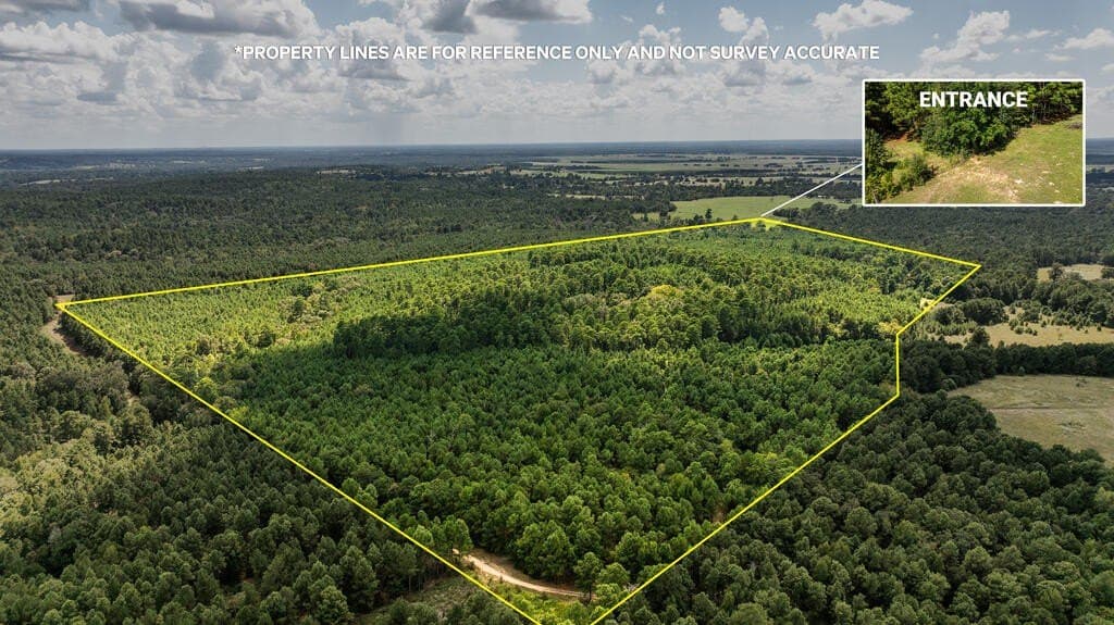 80 acres in ANDERSON County - photo 18