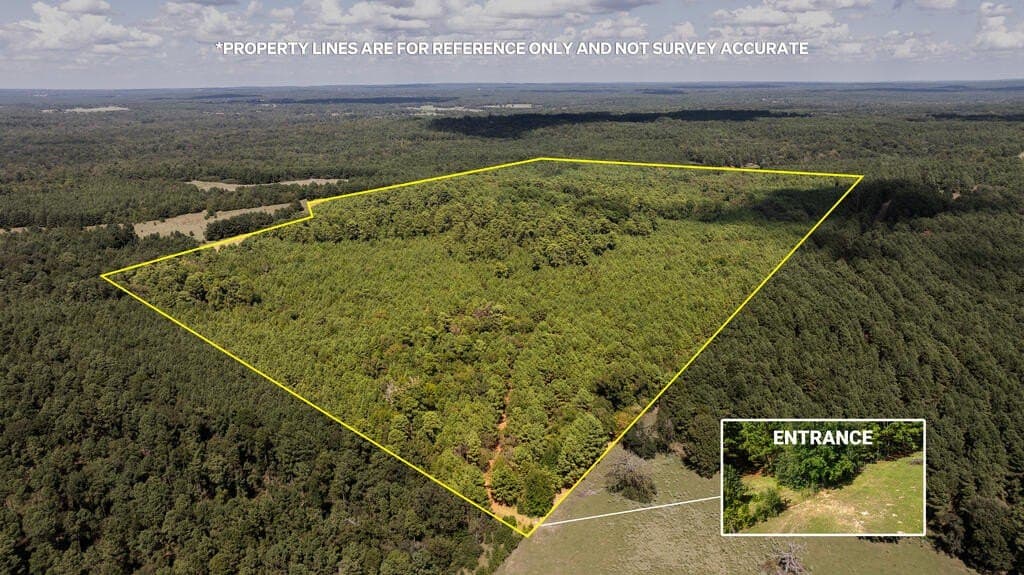 80 acres in ANDERSON County