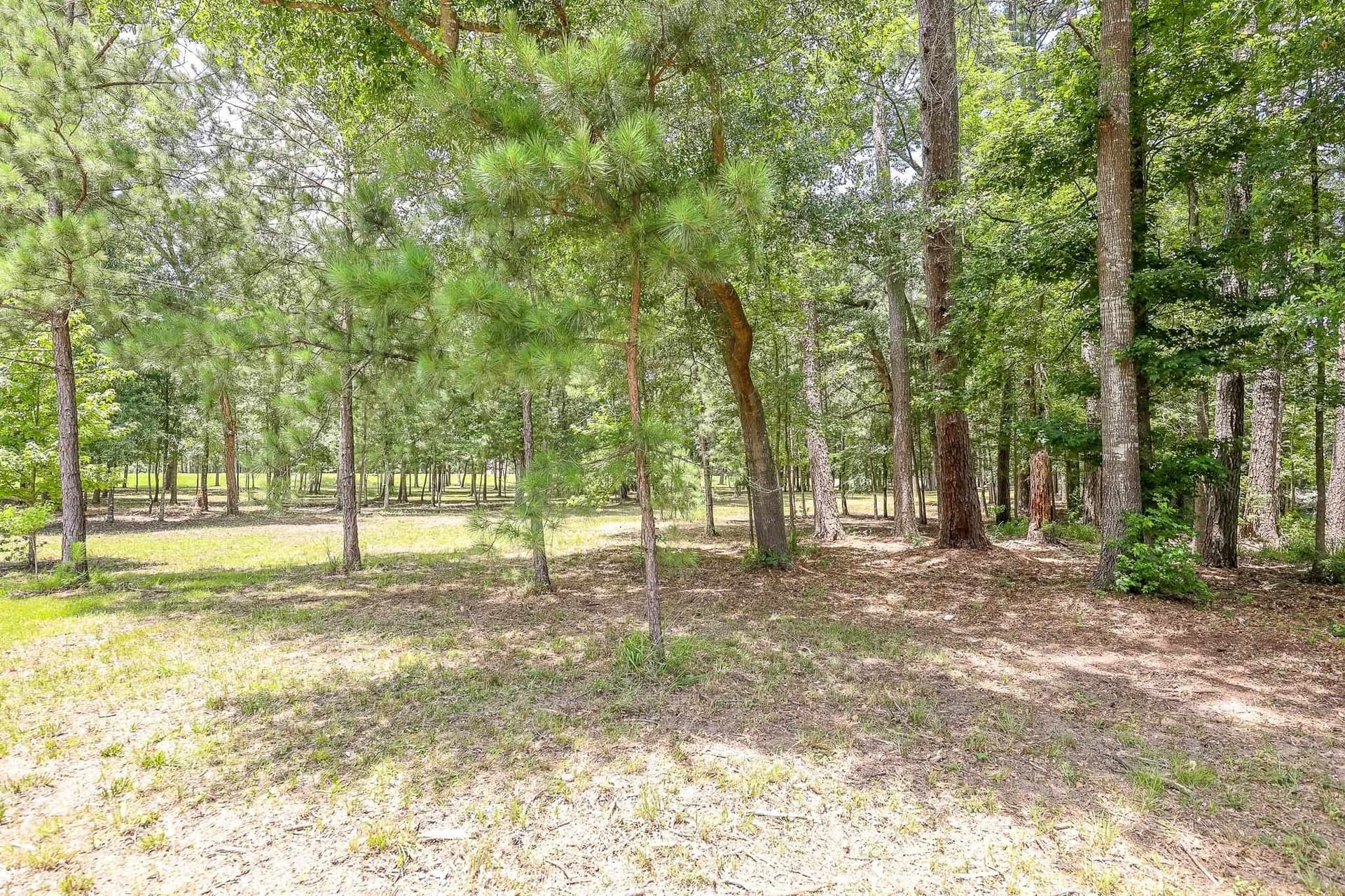 26 acres in Marion County - photo 21