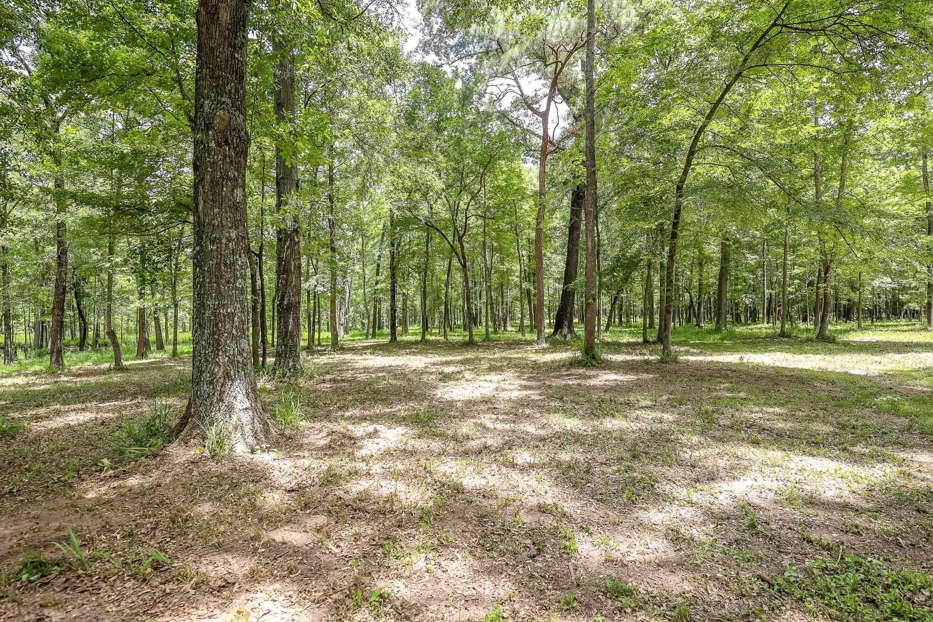 26 acres in Marion County - photo 13