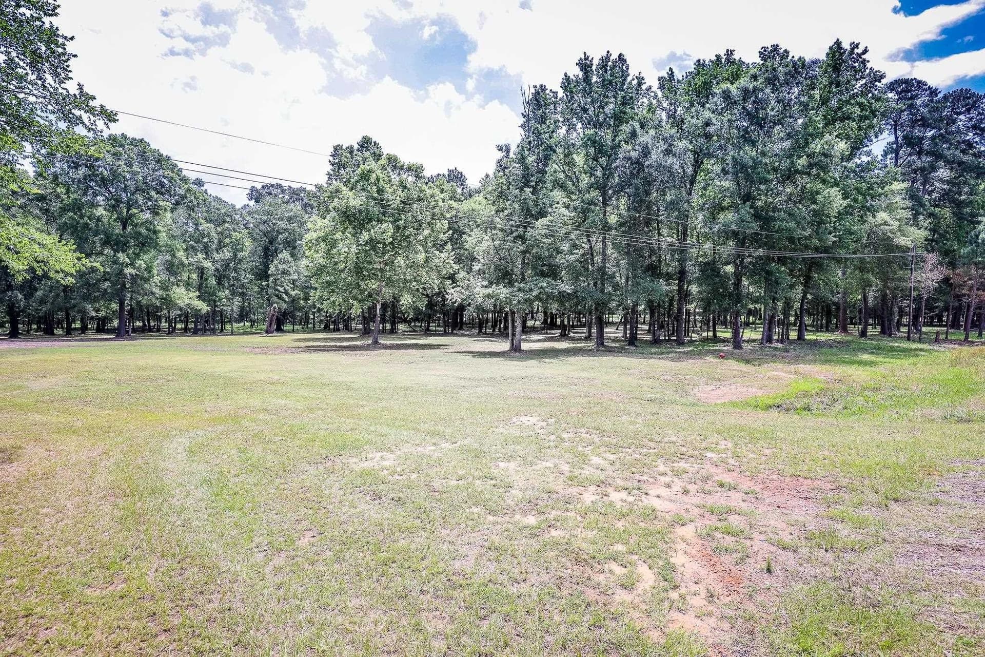 26 acres in Marion County - photo 8