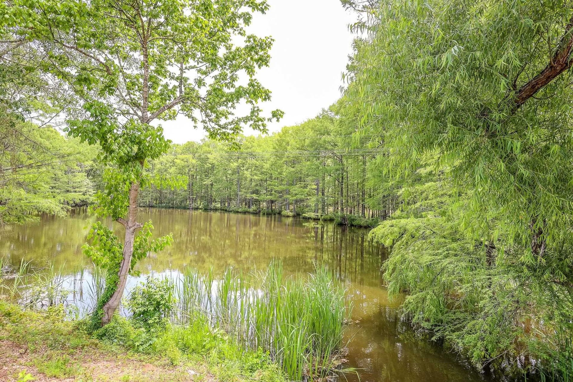26 acres in Marion County - photo 6
