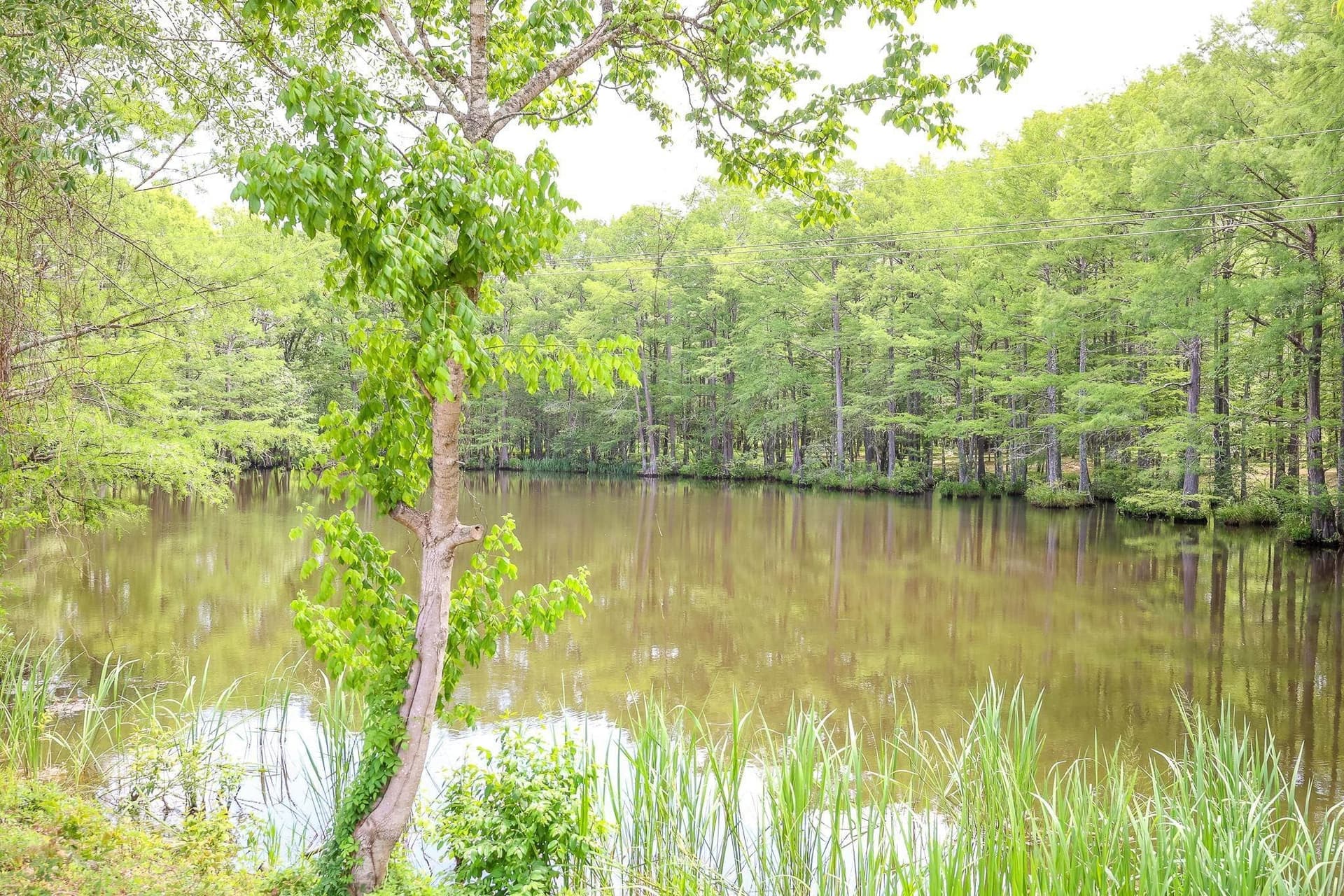 26 acres in Marion County - photo 7