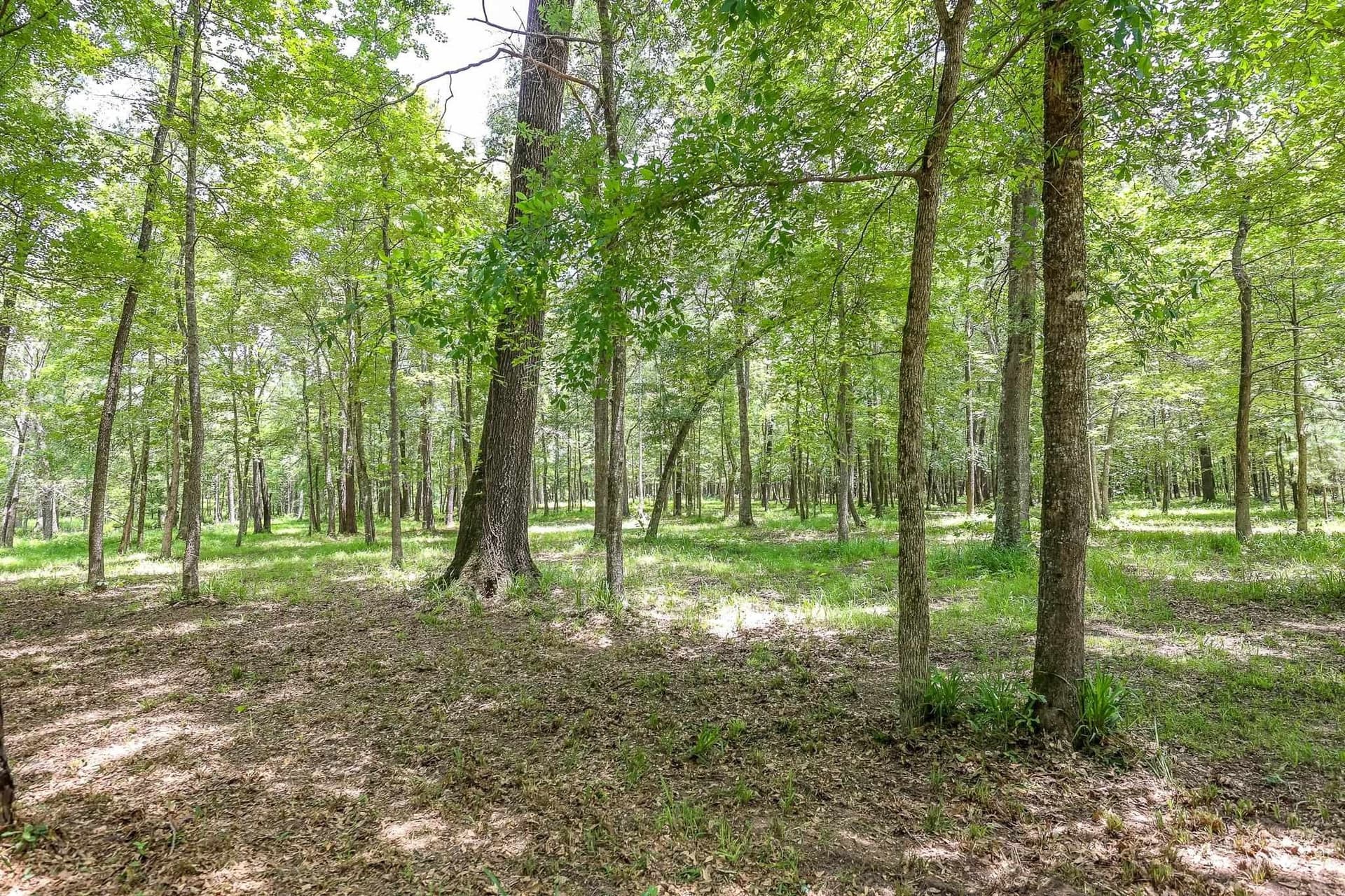 26 acres in Marion County - photo 14