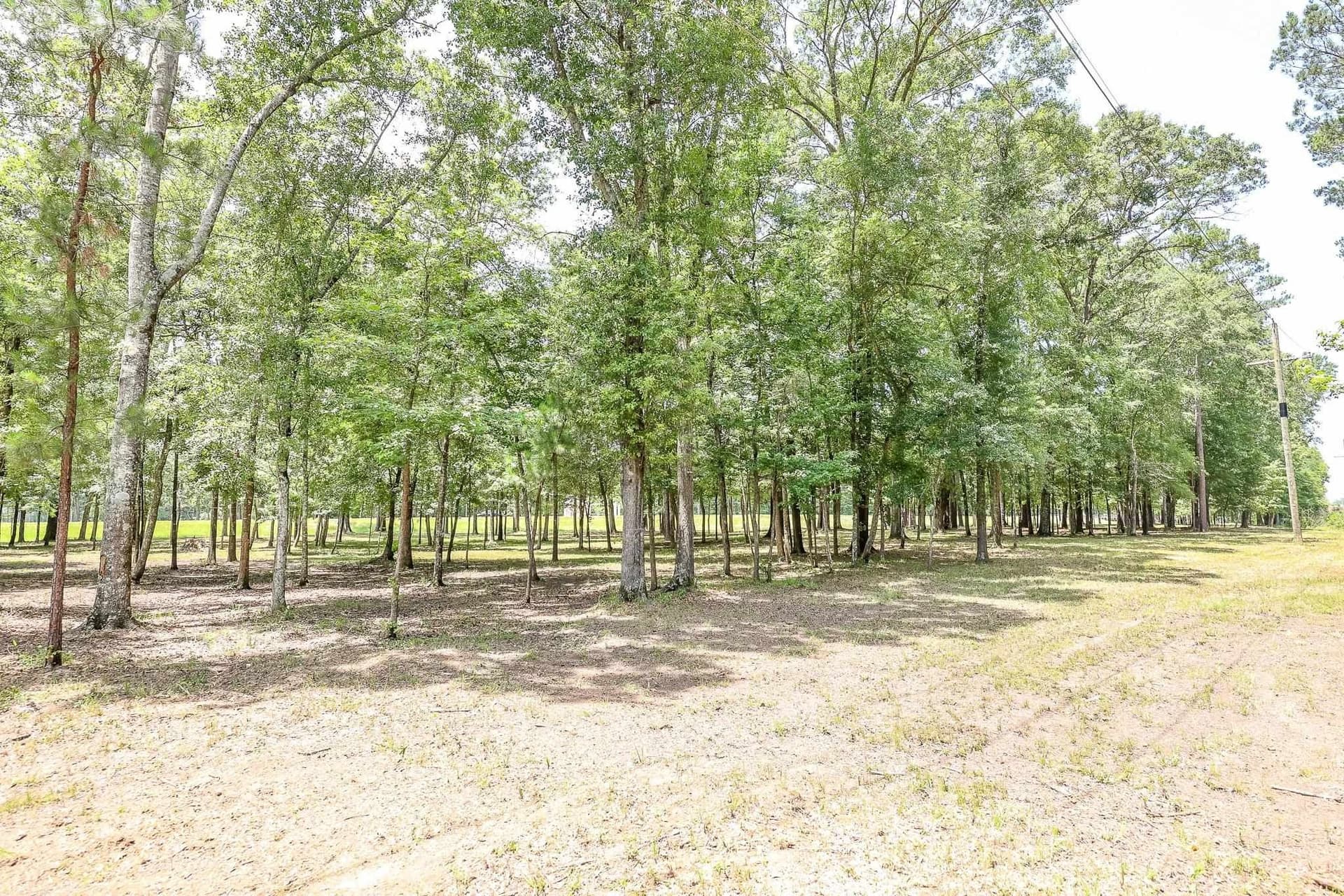 26 acres in Marion County - photo 23