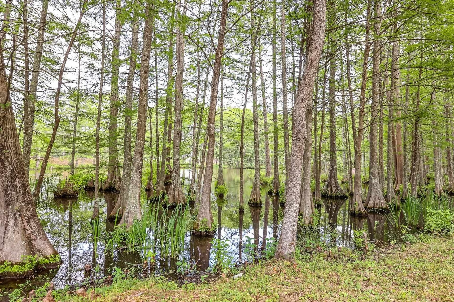 26 acres in Marion County - photo 11