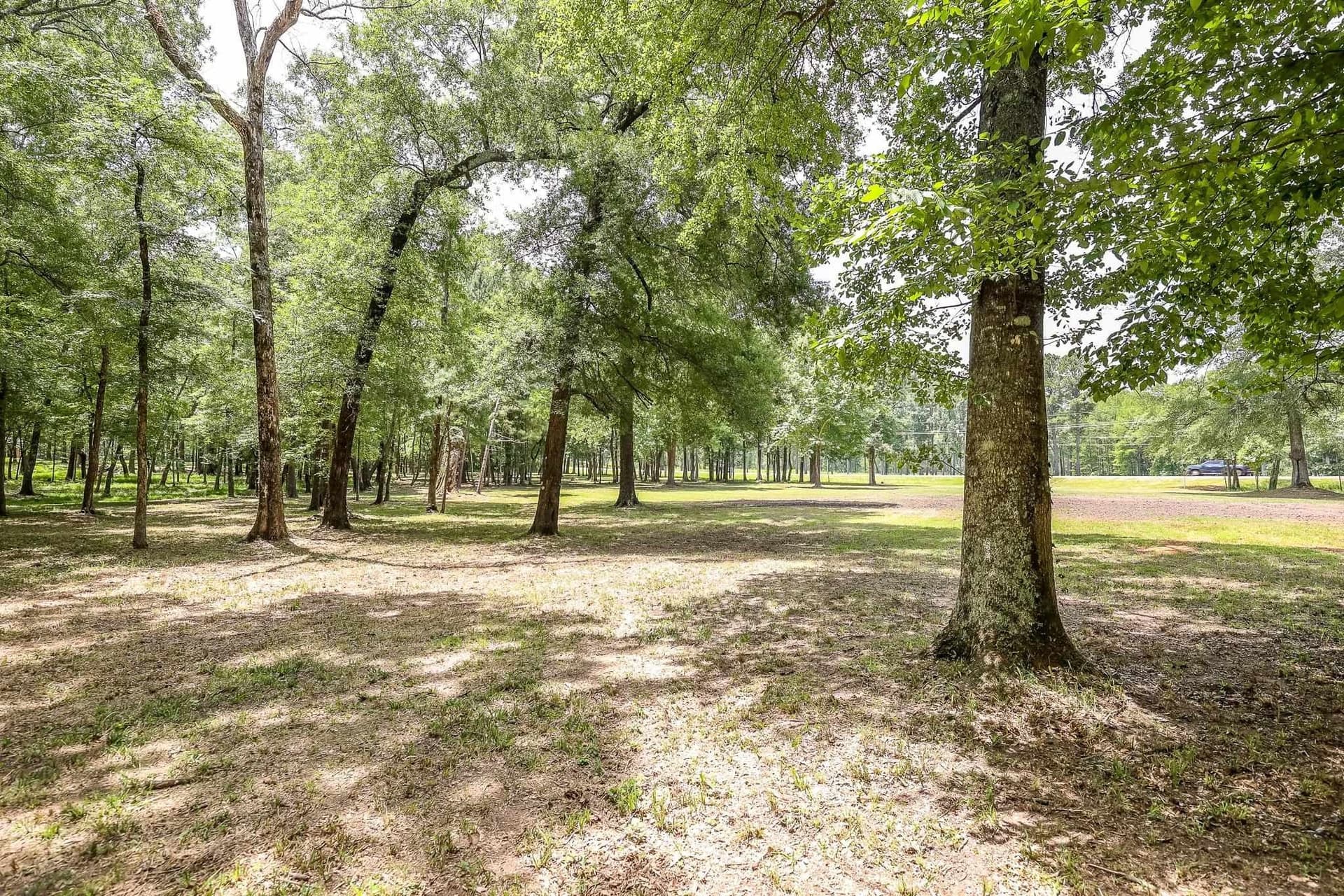26 acres in Marion County - photo 15