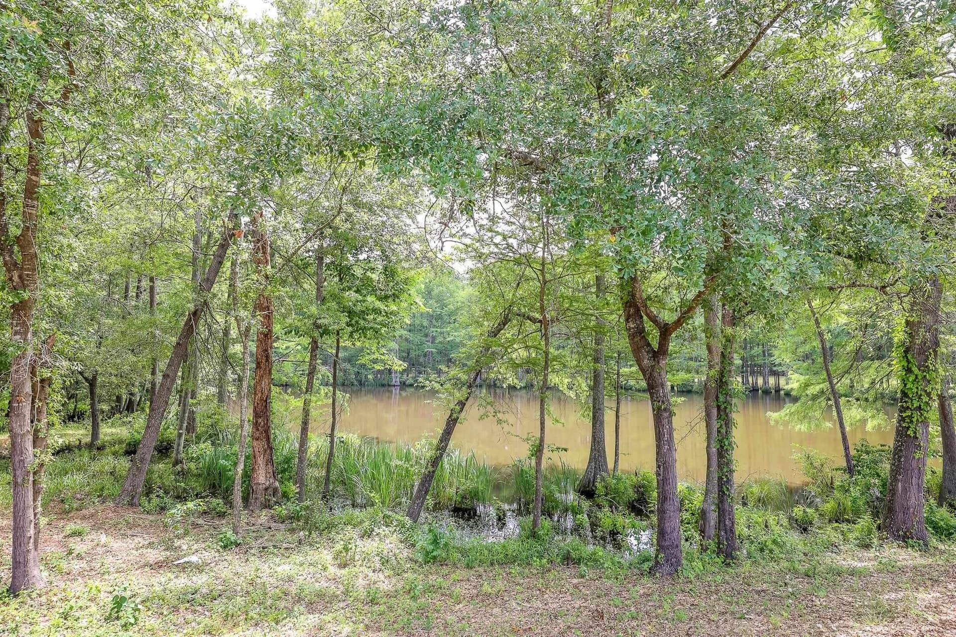 26 acres in Marion County gallery image 3