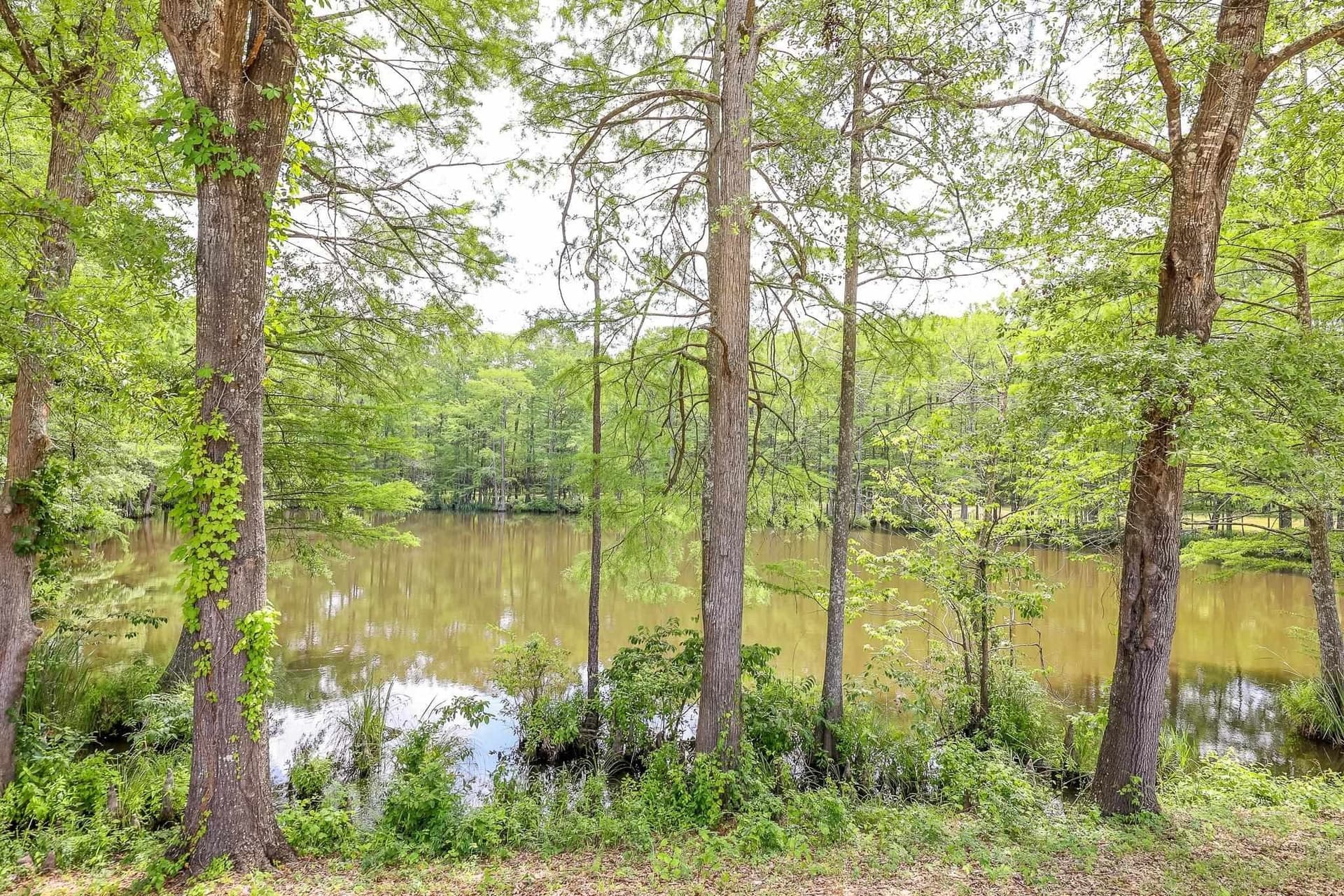 26 acres in Marion County gallery image 4