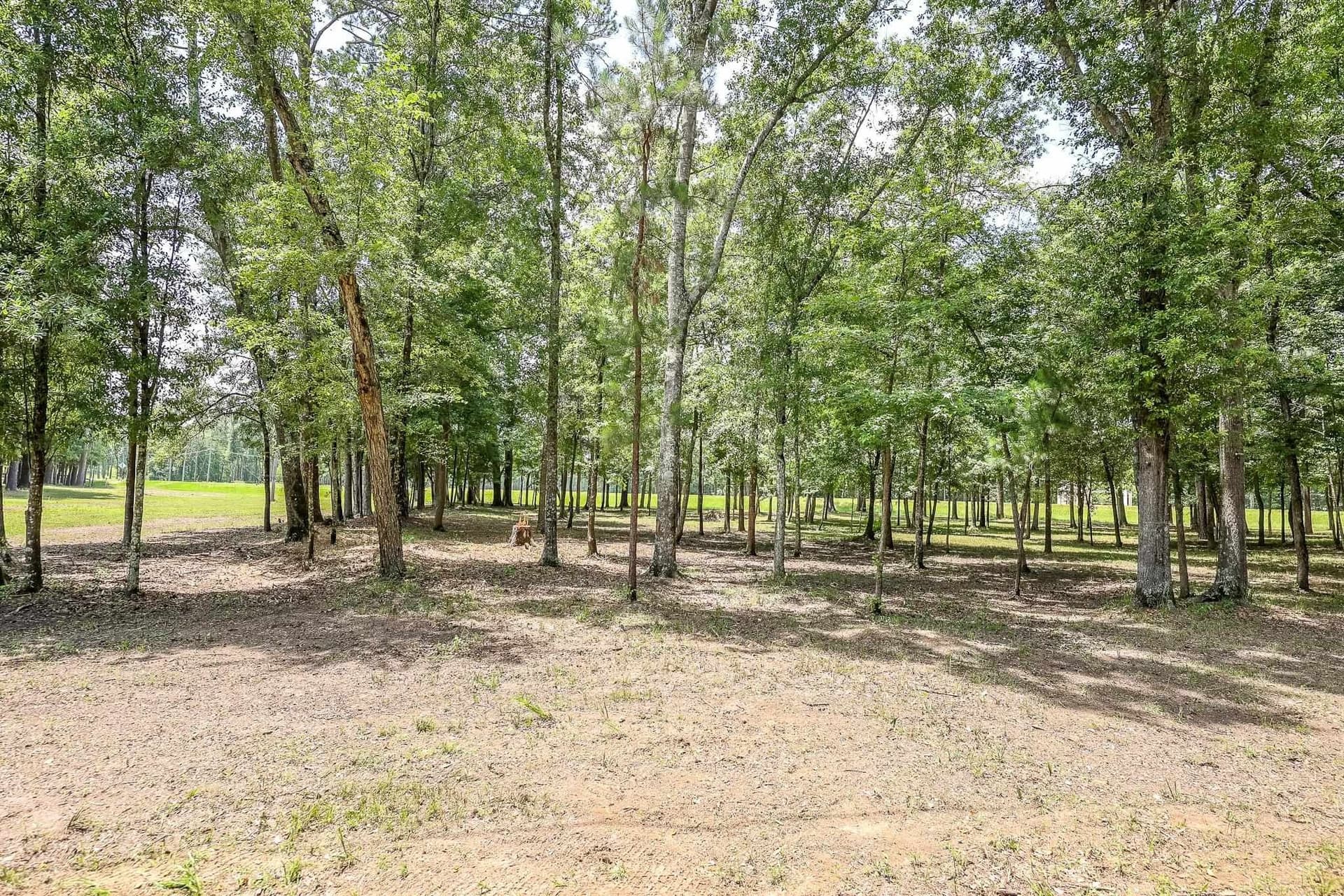 26 acres in Marion County - photo 24