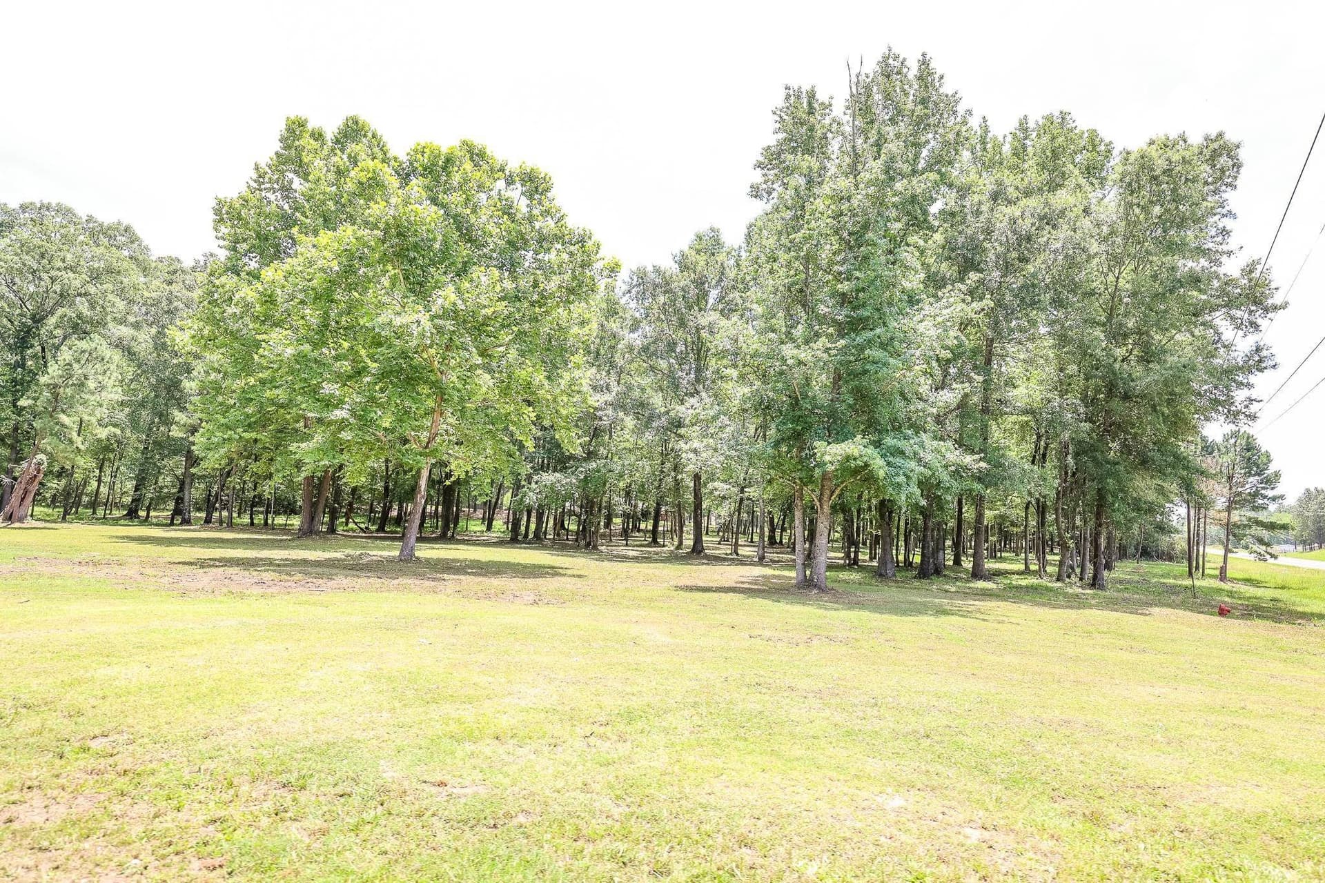 26 acres in Marion County - photo 19