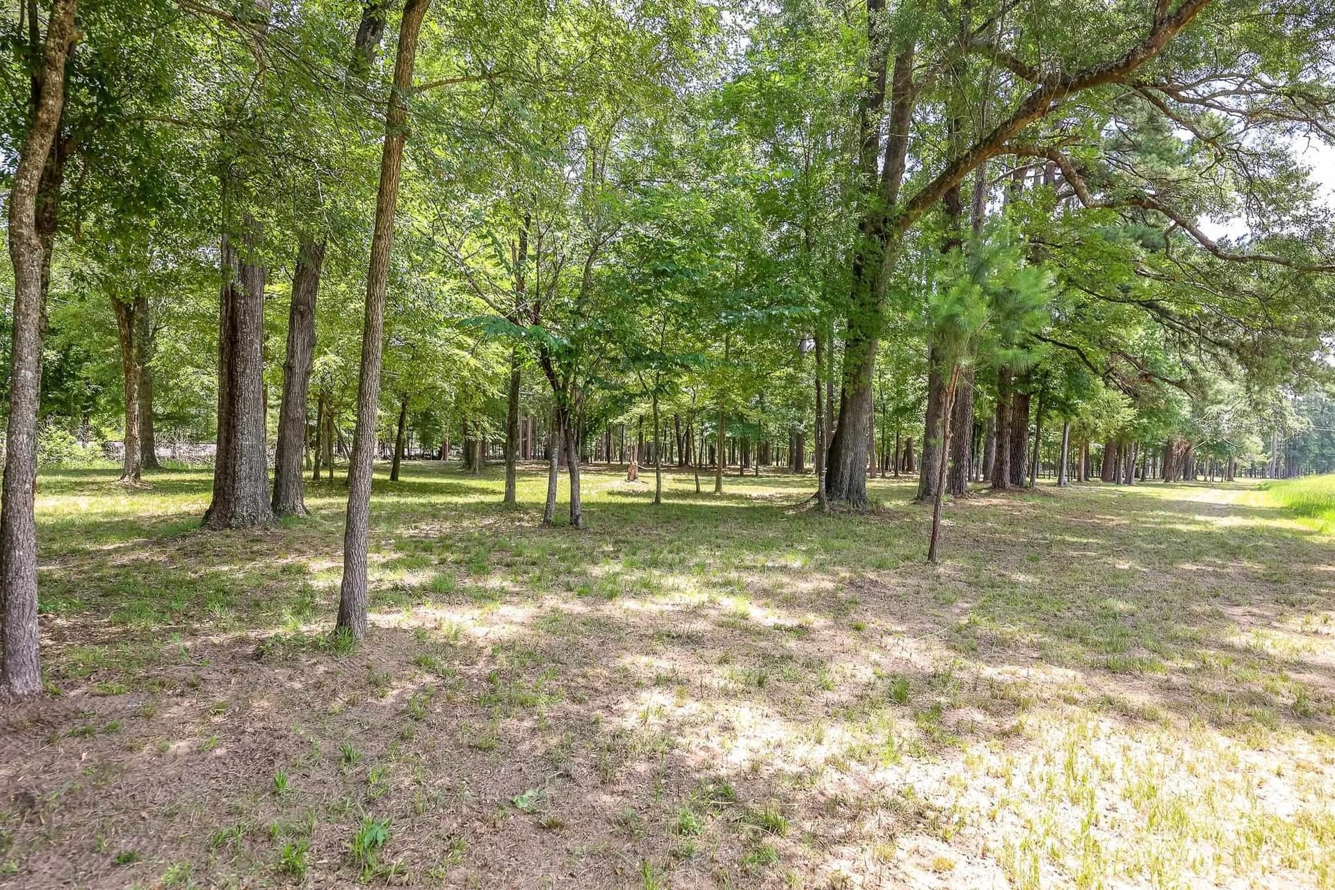26 acres in Marion County - photo 27