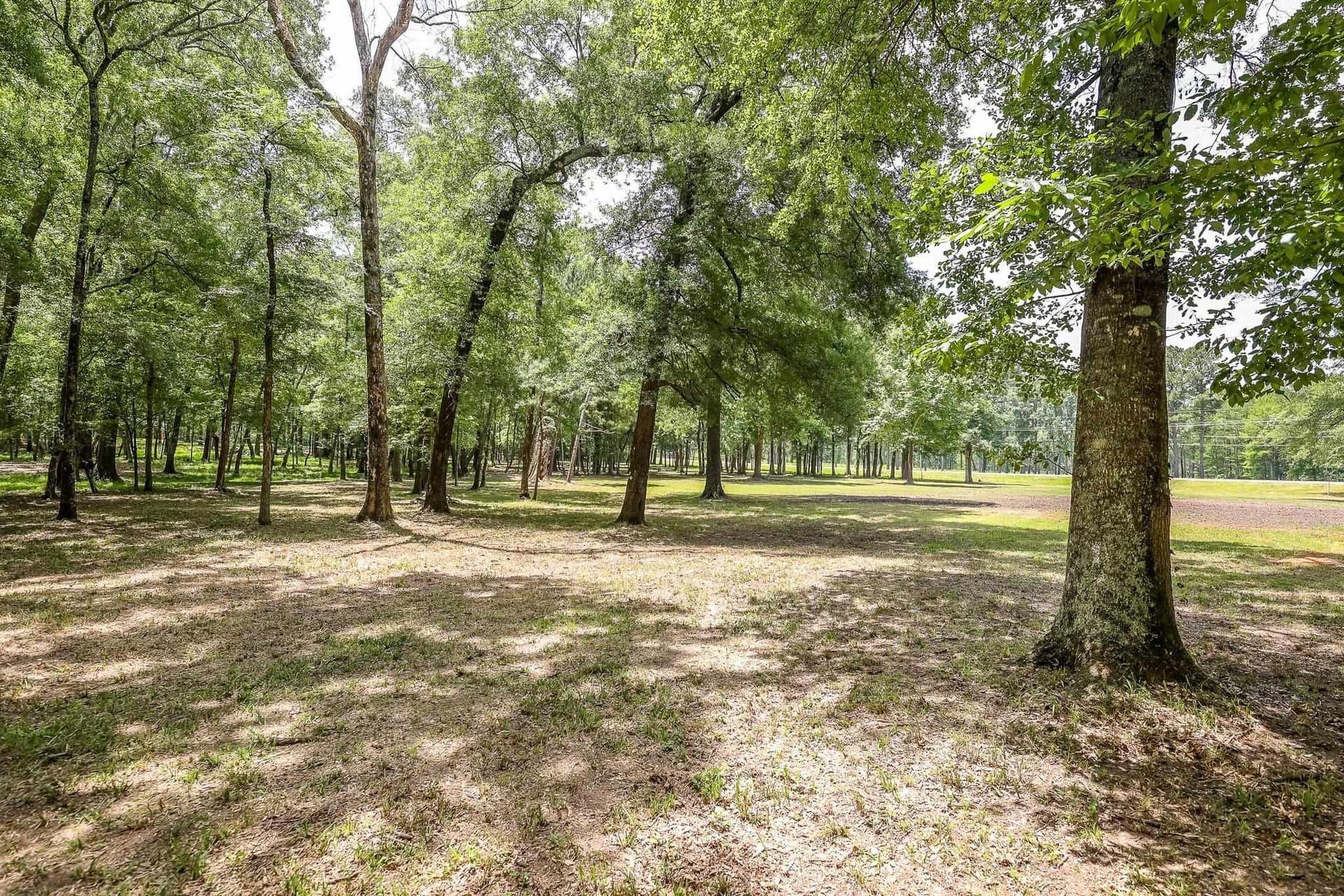 26 acres in Marion County - photo 16