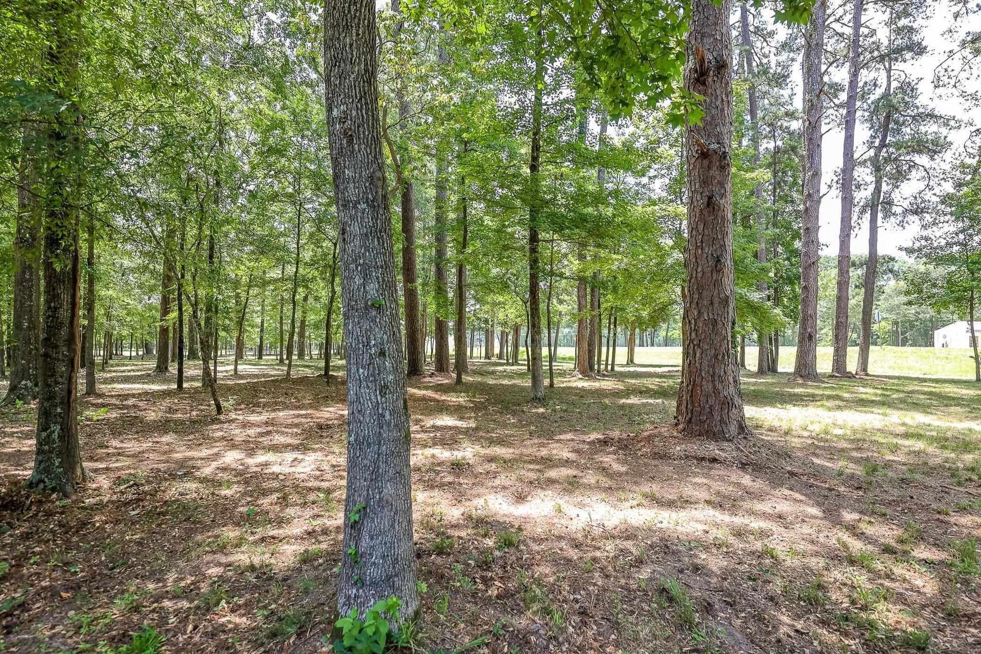 26 acres in Marion County - photo 26