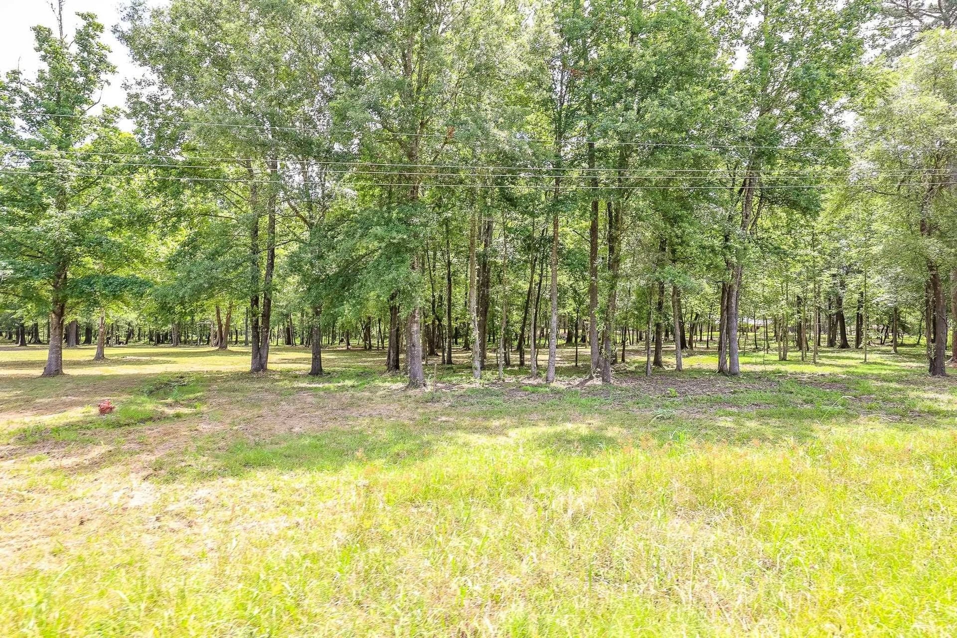 26 acres in Marion County - photo 10