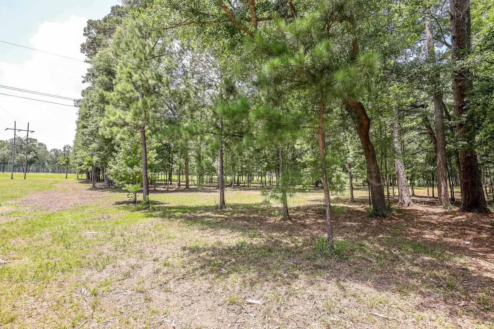 26 acres in Marion County - photo 22