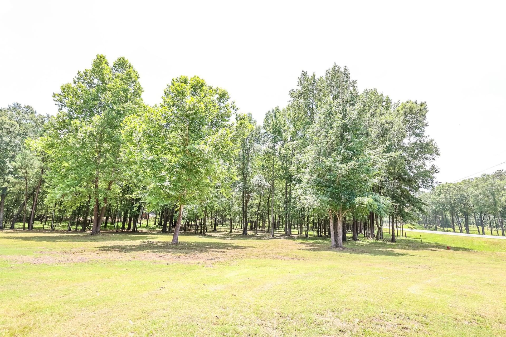26 acres in Marion County - photo 18